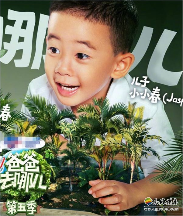 Jasper(小小春)：安排就读香港知名“私立贵族国际学校”