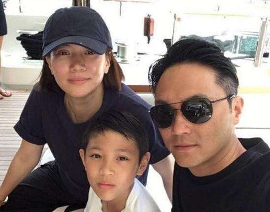 儿子玩滑板，又没采取安全措施：袁咏仪喊话老公张智霖