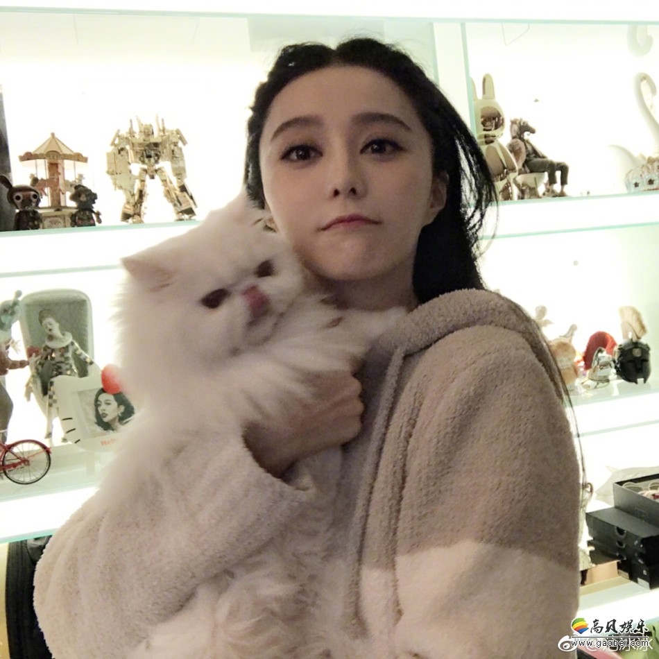 范冰冰晒出爱猫合照:少女感十足,猫猫表情呆萌