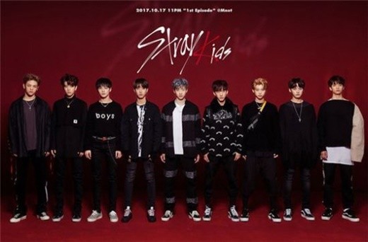 韩国JYP娱乐新人男团Stray Kids计划于明年以9人组形式出道