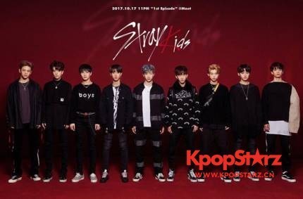新男团Stray Kids计划明年出道   能够成为JYP的新主力吗