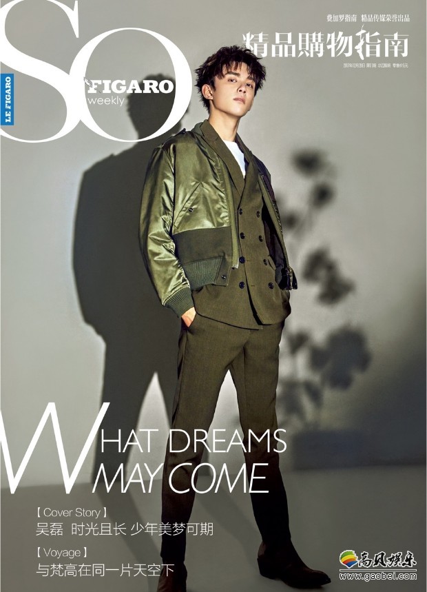 吴磊《费加罗》2017闭年压轴刊封面：成熟中混搭趣味