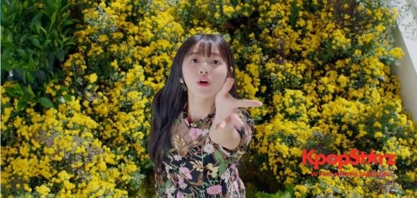 《Secret Garden》刷新了自身最高榜单成绩   差一个火的时机