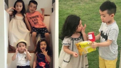 陈小春儿子Jasper可爱萌照：坐在前面的郑希怡女儿！乖巧漂亮