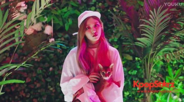 CLC正在以下个月回归为目标准备中   尚未确定具体的回归日期