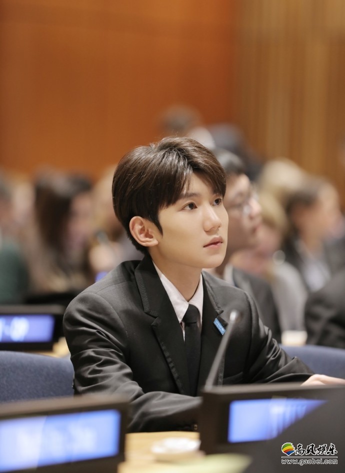 王源亮相联合国青年论坛：向列席诸位发出来自中国声音！沉稳淡定