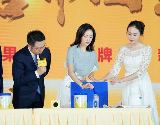 飞鹤乳业战略成果暨品牌焕新发布会：形象大使章子怡携手开启新篇章