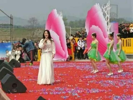 杨钰莹空降武汉市黄陂区乡下演出：演出当天观众人山人海，热闹非凡