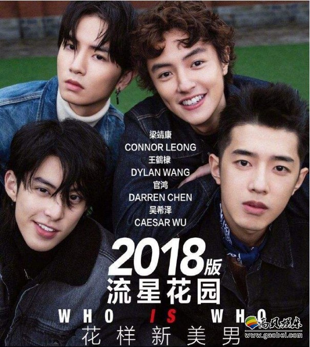 新版《流星花园》开拍不久，传出导演换人消息：两大原因才导致换人