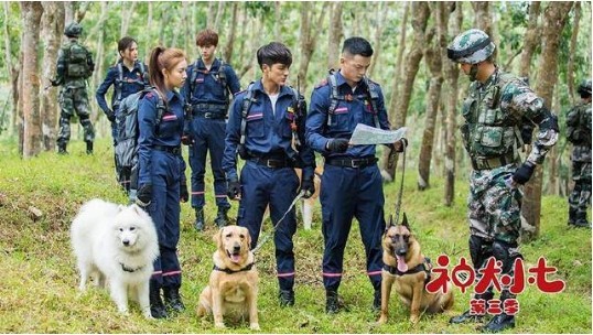 《神犬小七第三季》《神犬小七之歌》MV：总制片何静作词，王洋演唱