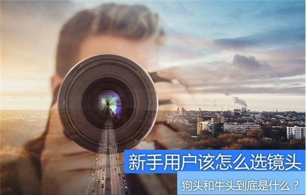 新手用户该怎么选择适合自己摄影镜头？“狗头和牛头”到底是什么