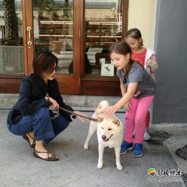 关之琳晒出遛狗照片：她以轻便装扮上阵，坐在石台上大摆pose照相