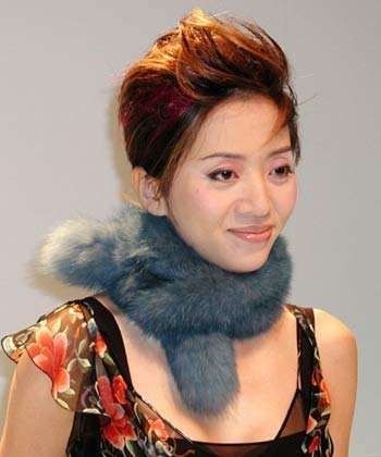 安乐电影公司决定开拍《梅艳芳传奇》：角色人选28岁香港女模王丹妮