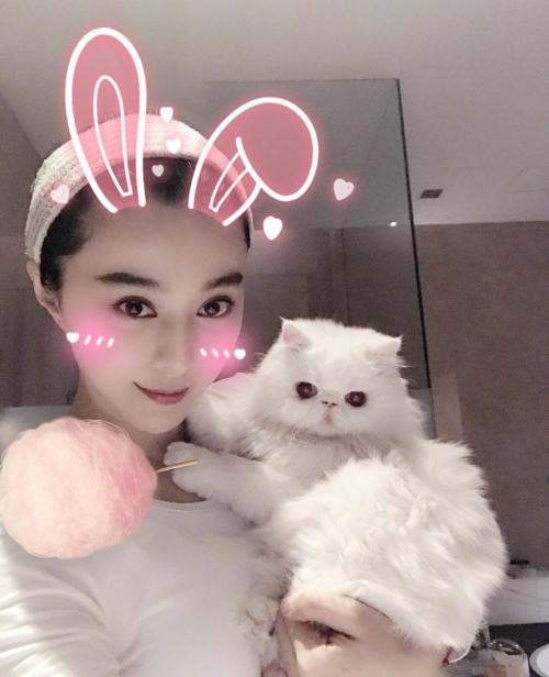 范冰冰深夜逗猫“画风超萌”：时常带着它们出镜，萌萌的超级抢镜