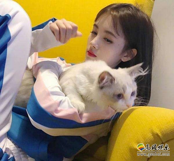 鞠婧祎晒出和爱猫合影：穿着家居服，扎着丸子头， 妆容精致侧颜迷人