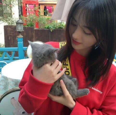 鞠婧祎晒出图片：她手捧一只小猫，和它亲昵嬉戏，场面温馨有爱