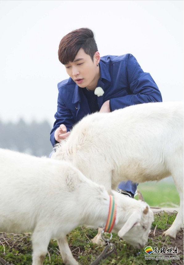《极限挑战》第四季：放羊少年张艺兴路边吃草！请教师父放羊秘诀