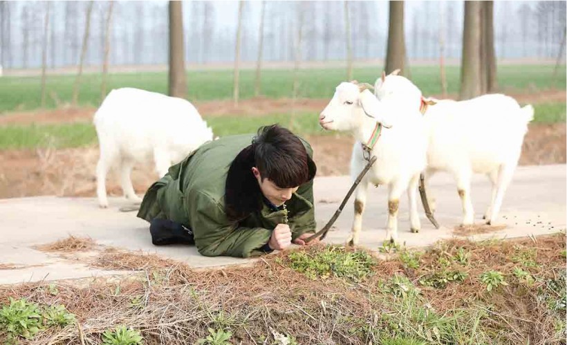 《极限挑战》第四季:放羊少年张艺兴路边吃草!请教师父放羊秘诀