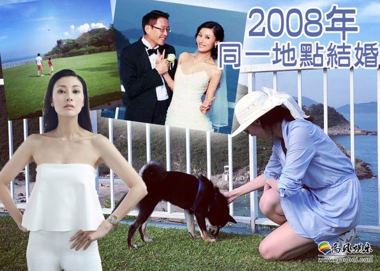 李嘉欣晒出同老公孩子一家三口去石澳别墅游玩照片：照片十分唯美