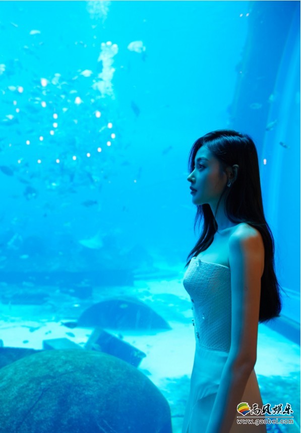 张天爱出席某国际品牌酒店开幕：白色礼服小露香肩，既美艳又灵动