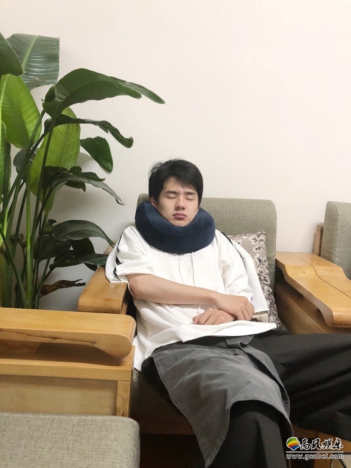 工作室晒出照片：刘昊然戴着U型枕靠在沙发上睡的正香，眼神懵懂和茫然