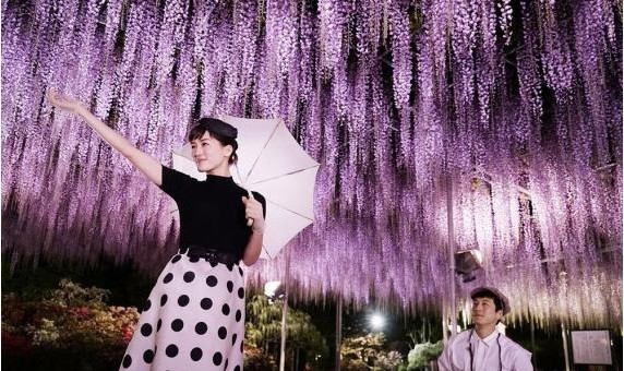 《今夜在浪漫剧场》(暂译)上海国际电影节亮相获好评：引发网友热议