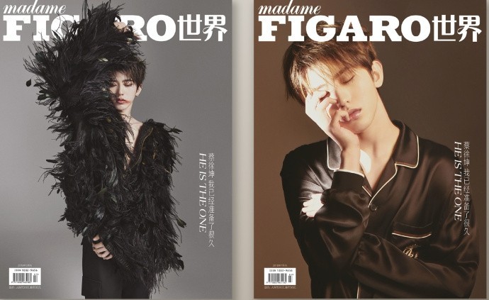 蔡徐坤首登《费加罗》最新封面曝光：以两种截然不同的面貌展现自身形象