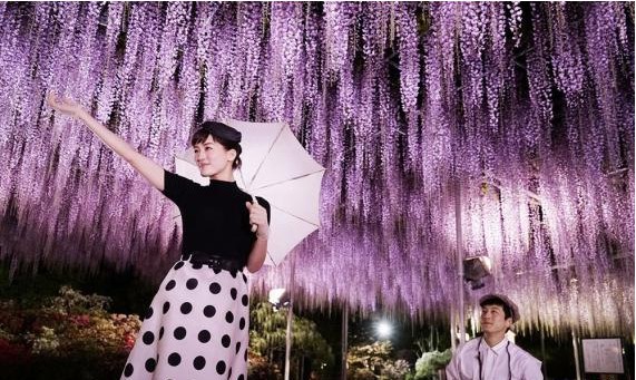 《今夜在浪漫剧场》韩国各大院线正式公映：主演坂口健太郎迎27岁生日
