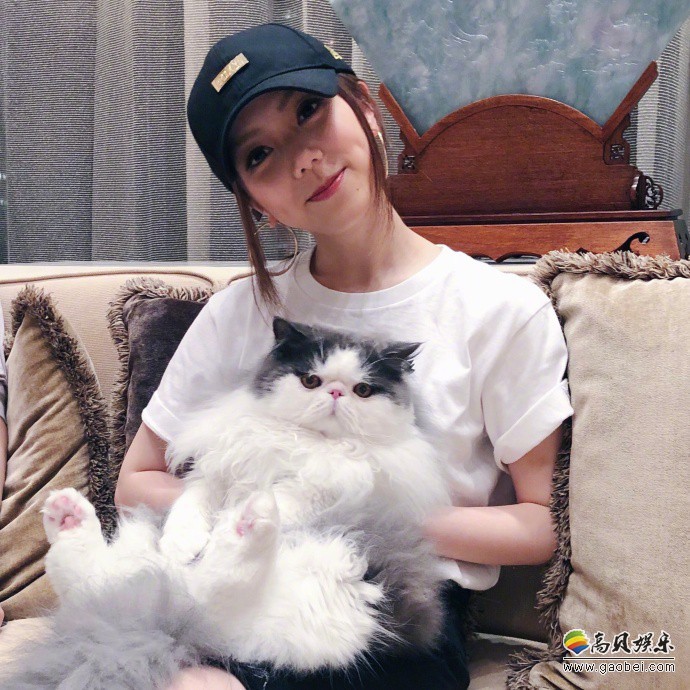 邓紫棋晒出与猫咪合影：抱猫咪拍照，抿嘴甜笑大眼放电！尖下巴瞩目