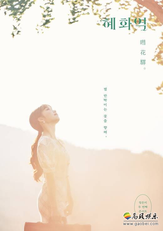 郑恩地将举行SOLO演唱会  一消息并公开了最新海报