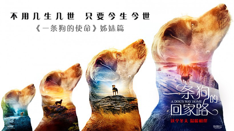 《一条狗的回家路》发布“心之所向”版预告片：亲密互动显得分外暖心