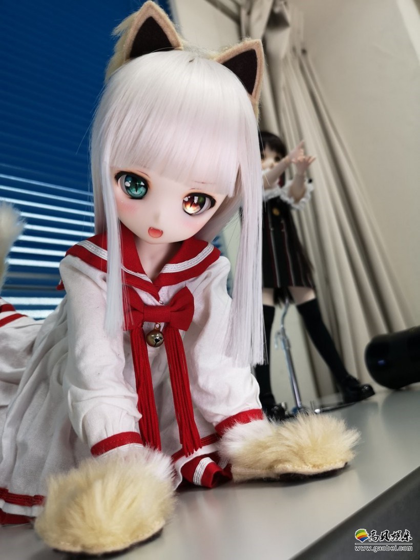 本周DD娃娃摄影写真集：粉丝娃娃收藏欣赏！2019年预祝大家新春快乐