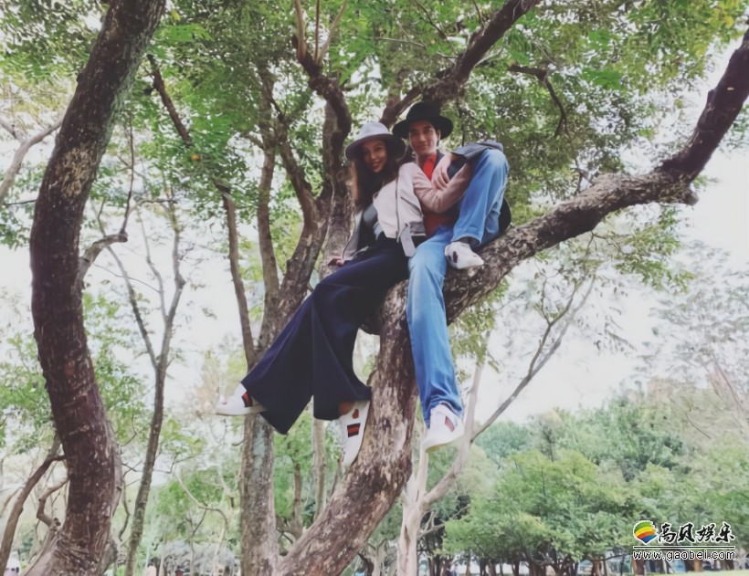 王力宏微博晒出与妻子李靓蕾坐树上照片：王力宏四字回应虐哭“单身狗”