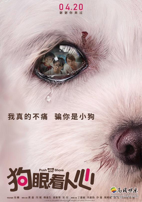 《狗眼看人心》曝光“骗你是小狗”版海报：超越人狗温情聚焦现实话题