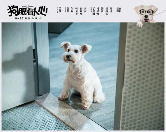 《狗眼看人心》曝光“不要伤心”版预告：主人一家对爱犬妮蔻不懈守护