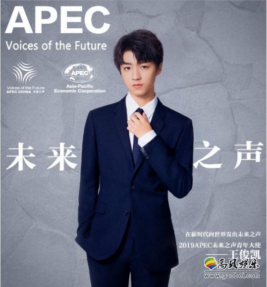 2019年APEC未来之声青年大使王俊凯：号召中国青年向世界发出未来之声