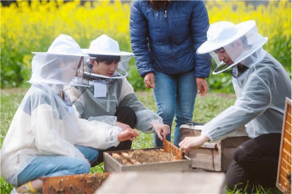 《哈哈农夫》第六期：哈哈家族变身蜂农采蜜！王源未能躲过蜜蜂“袭击”