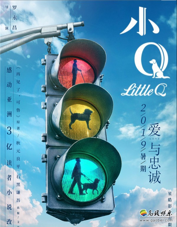 《小Q》曝“我和我的导盲犬”特辑：国际导盲犬日向“无言英雄”致敬