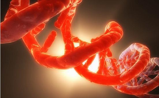 科学家们已经突破人们认知极限：让DNA打造机器具备活体生命关键特征
