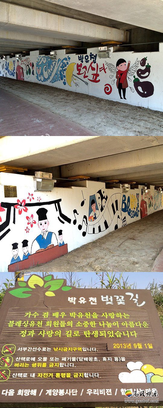 仁川区民间志愿团体透露 “朴有天樱花路”壁画、指示牌被拆除