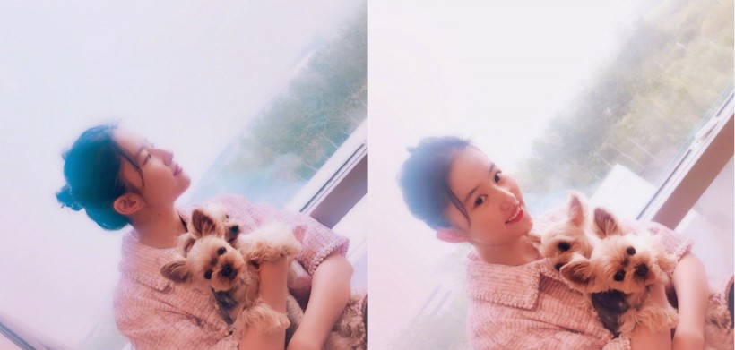 刘亦菲分享怀抱爱犬美照：怀抱爱犬温柔甜美，坐窗边眺望远方似画中人