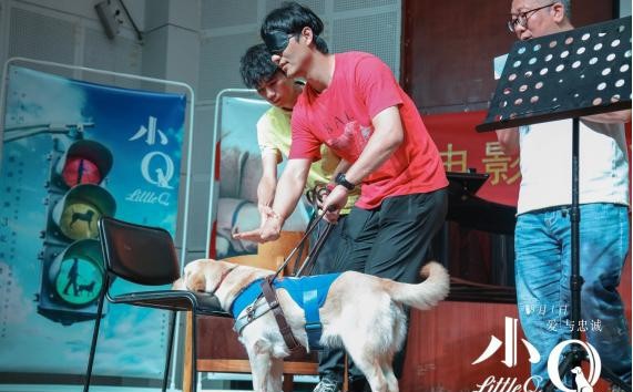 《小Q》“我愿意与导盲犬同行”全国路演开启：温馨画面惹得众人泪崩