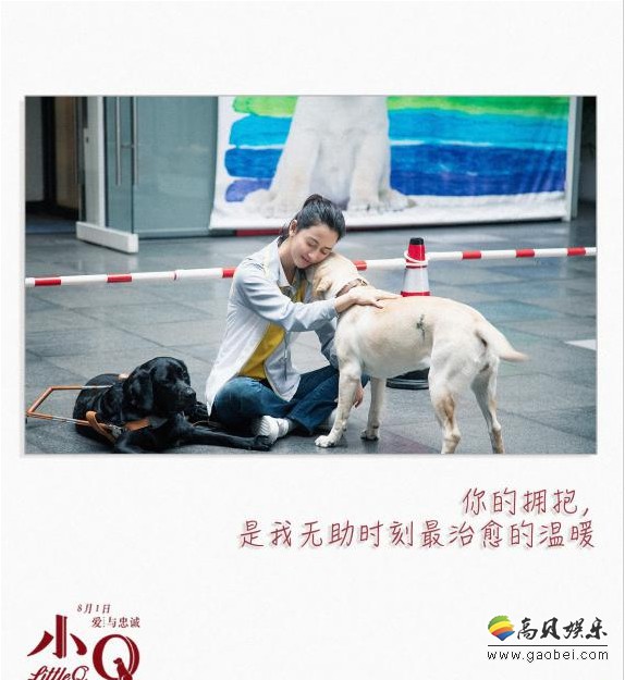 《小Q》超级催泪感人花絮曝光：主演们动情讲述了“我与导盲犬的日子”