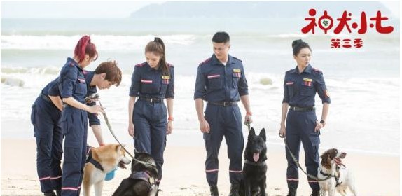 《神犬小七3》独特主角群体融入创新公益题材:演绎有趣与感动暖心大戏 《神犬小七3》独特主角群体融入创新公益题材:演绎有趣与感动暖心大戏