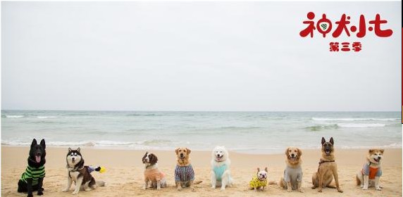 《神犬小七3》“童真”版剧照与“萌趣”版萌宠剧照：曝光萌娃客串阵容