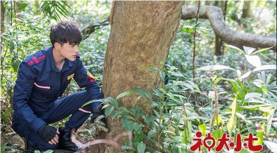 《神犬小七3》首播成绩亮眼：网络话题讨论度不断攀升，观众们好评涌现