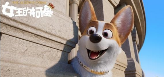 《女王的柯基》英国上映“全球著名犬迷”英女王与她的柯基犬首登大银幕