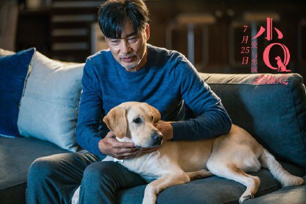 任达华主演电影《小Q》剧组发表声明：推迟影片上映时间！改档9月20日