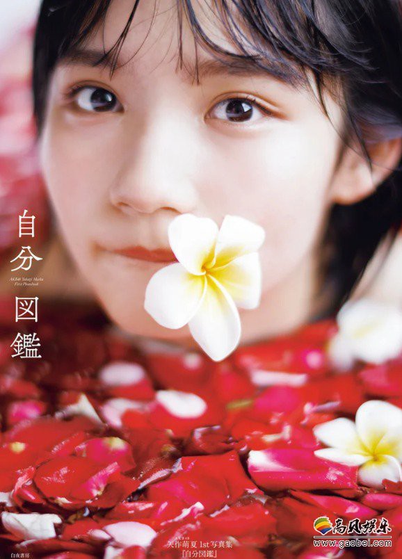 AKB48矢作萌夏参加直播节目宣传新作：被赞写真集很健康但是性感满满