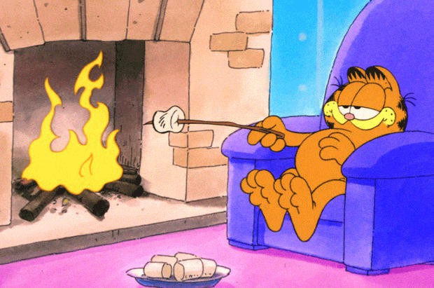 据外媒消息：维亚康姆拿下经典动画《加菲猫》版权！打造全新系列动画片